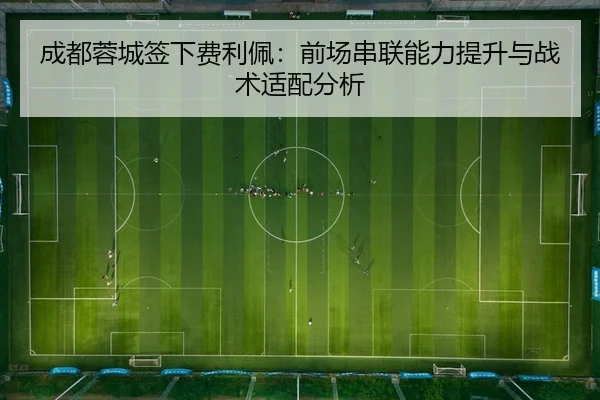 cheng-du-rong-cheng-qian-xia-fei-li-pei-qian-chang-chuan-lian-neng-li-ti-sheng-yu-zhan-shu-shi-pei-fen-xi-2-888.jpg